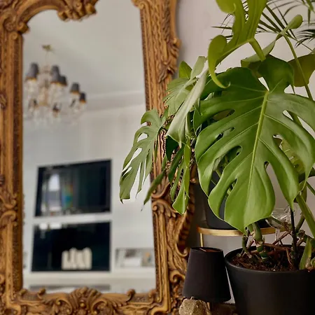 Stylowy Apartament Blisko Starego Miasta